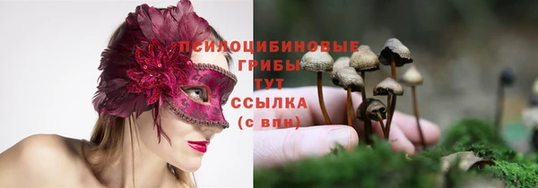 дурь Бородино