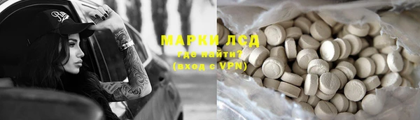 дурь Бородино